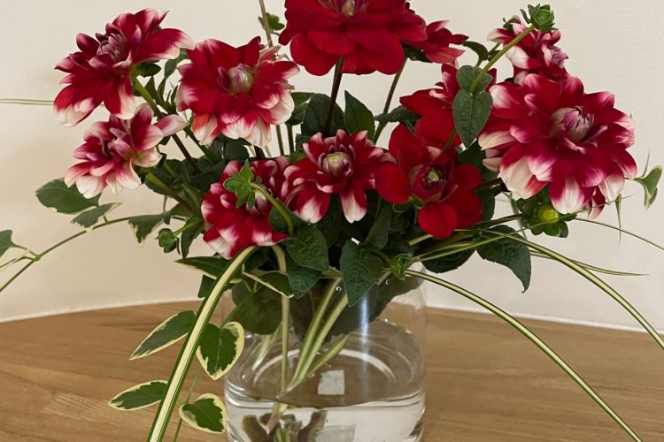 お花のブログを更新しました